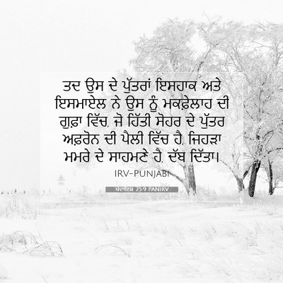 Picture 07 - ਪੈਦਾਇਸ਼ 25:9 PANIRV - ਤਦ ਉਸ ਦੇ ਪੁੱਤਰਾਂ - Bible Verse Picture