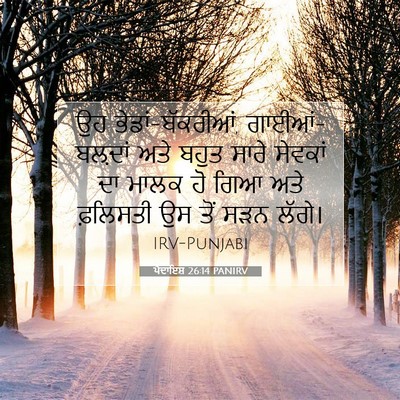 Picture 07 - ਪੈਦਾਇਸ਼ 26:14 PANIRV - ਉਹ ਭੇਡਾਂ-ਬੱਕਰੀਆਂ, - Bible Verse Picture