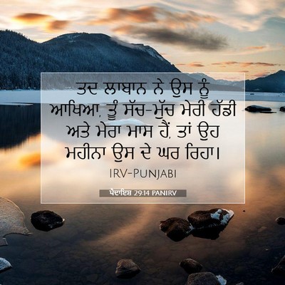 Picture 07 - ਪੈਦਾਇਸ਼ 29:14 PANIRV - ਤਦ ਲਾਬਾਨ ਨੇ ਉਸ ਨੂੰ - Bible Verse Picture