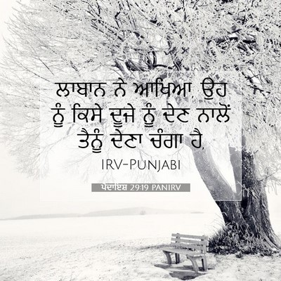 Picture 07 - ਪੈਦਾਇਸ਼ 29:19 PANIRV - ਲਾਬਾਨ ਨੇ ਆਖਿਆ, ਉਹ - Bible Verse Picture