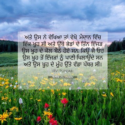 Picture 07 - ਪੈਦਾਇਸ਼ 29:2 PANIRV - ਅਤੇ ਉਸ ਨੇ ਵੇਖਿਆ ਤਾਂ - Bible Verse Picture