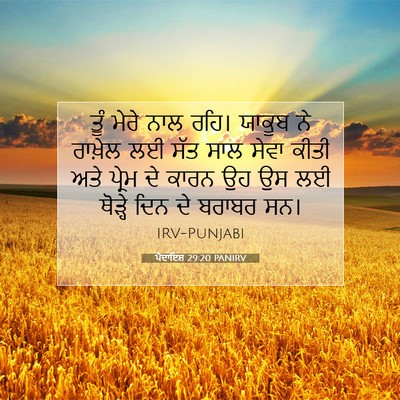 Picture 07 - ਪੈਦਾਇਸ਼ 29:20 PANIRV - ਤੂੰ ਮੇਰੇ ਨਾਲ ਰਹਿ। - Bible Verse Picture