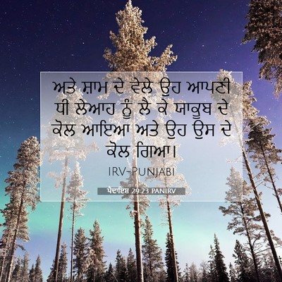Picture 07 - ਪੈਦਾਇਸ਼ 29:23 PANIRV - ਅਤੇ ਸ਼ਾਮ ਦੇ ਵੇਲੇ ਉਹ - Bible Verse Picture
