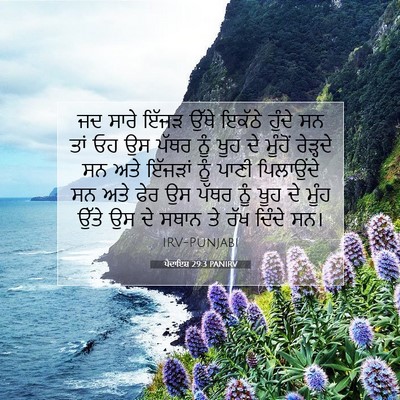 Picture 07 - ਪੈਦਾਇਸ਼ 29:3 PANIRV - ਜਦ ਸਾਰੇ ਇੱਜੜ ਉੱਥੇ - Bible Verse Picture