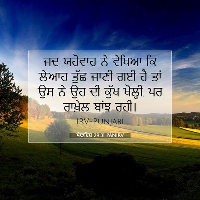 Picture 07 - ਪੈਦਾਇਸ਼ 29:31 PANIRV - ਜਦ ਯਹੋਵਾਹ ਨੇ ਵੇਖਿਆ - Bible Verse Picture