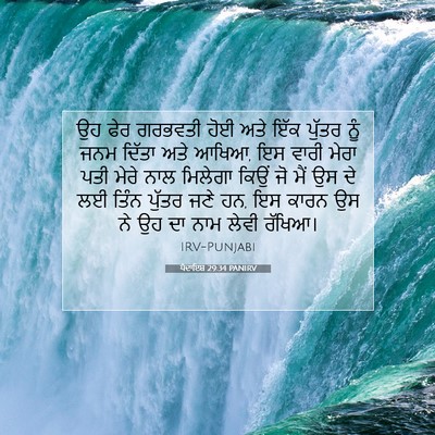 Picture 07 - ਪੈਦਾਇਸ਼ 29:34 PANIRV - ਉਹ ਫੇਰ ਗਰਭਵਤੀ ਹੋਈ - Bible Verse Picture
