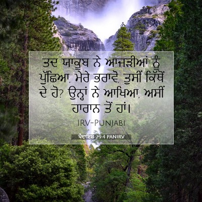 Picture 07 - ਪੈਦਾਇਸ਼ 29:4 PANIRV - ਤਦ ਯਾਕੂਬ ਨੇ ਆਜੜੀਆਂ - Bible Verse Picture