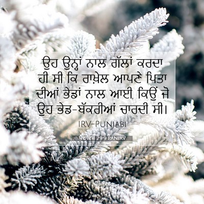 Picture 07 - ਪੈਦਾਇਸ਼ 29:9 PANIRV - ਉਹ ਉਨ੍ਹਾਂ ਨਾਲ - Bible Verse Picture