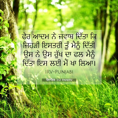 Picture 07 - ਪੈਦਾਇਸ਼ 3:12 PANIRV - ਫੇਰ ਆਦਮ ਨੇ ਜਵਾਬ - Bible Verse Picture