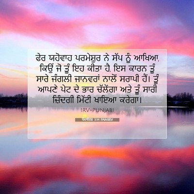 Picture 07 - ਪੈਦਾਇਸ਼ 3:14 PANIRV - ਫੇਰ ਯਹੋਵਾਹ - Bible Verse Picture