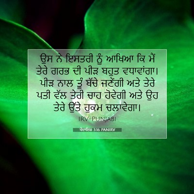 Picture 07 - ਪੈਦਾਇਸ਼ 3:16 PANIRV - ਉਸ ਨੇ ਇਸਤਰੀ ਨੂੰ - Bible Verse Picture