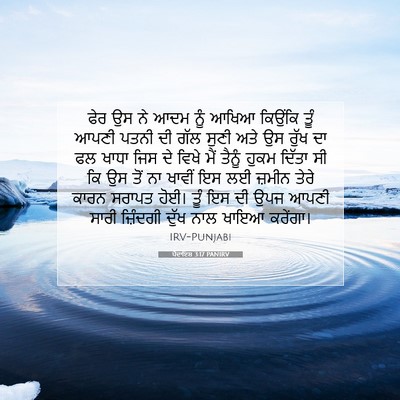 Picture 07 - ਪੈਦਾਇਸ਼ 3:17 PANIRV - ਫੇਰ ਉਸ ਨੇ ਆਦਮ ਨੂੰ - Bible Verse Picture