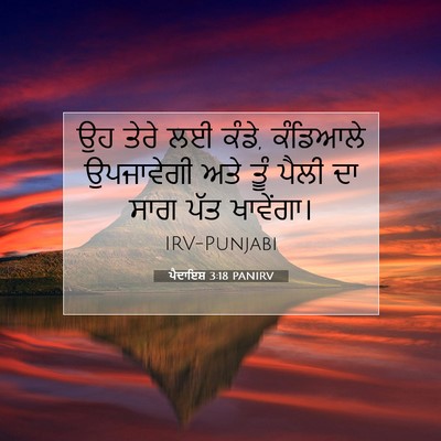 Picture 07 - ਪੈਦਾਇਸ਼ 3:18 PANIRV - ਉਹ ਤੇਰੇ ਲਈ ਕੰਡੇ, - Bible Verse Picture