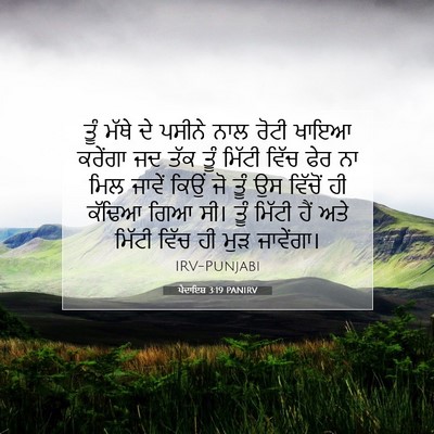 Picture 07 - ਪੈਦਾਇਸ਼ 3:19 PANIRV - ਤੂੰ ਮੱਥੇ ਦੇ ਪਸੀਨੇ - Bible Verse Picture