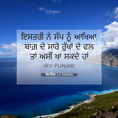 Picture 07 - ਪੈਦਾਇਸ਼ 3:2 PANIRV - ਇਸਤਰੀ ਨੇ ਸੱਪ ਨੂੰ - Bible Verse Picture