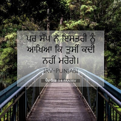 Picture 07 - ਪੈਦਾਇਸ਼ 3:4 PANIRV - ਪਰ ਸੱਪ ਨੇ ਇਸਤਰੀ ਨੂੰ - Bible Verse Picture