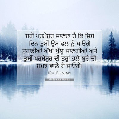 Picture 07 - ਪੈਦਾਇਸ਼ 3:5 PANIRV - ਸਗੋਂ ਪਰਮੇਸ਼ੁਰ - Bible Verse Picture