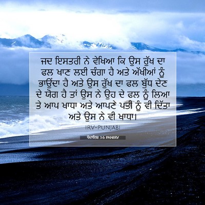 Picture 07 - ਪੈਦਾਇਸ਼ 3:6 PANIRV - ਜਦ ਇਸਤਰੀ ਨੇ ਵੇਖਿਆ - Bible Verse Picture