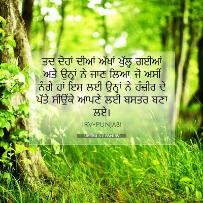 Picture 07 - ਪੈਦਾਇਸ਼ 3:7 PANIRV - ਤਦ ਦੋਹਾਂ ਦੀਆਂ - Bible Verse Picture