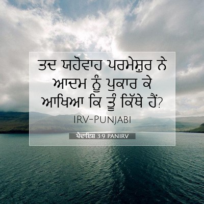 Picture 07 - ਪੈਦਾਇਸ਼ 3:9 PANIRV - ਤਦ ਯਹੋਵਾਹ - Bible Verse Picture