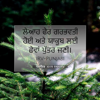 Picture 07 - ਪੈਦਾਇਸ਼ 30:19 PANIRV - ਲੇਆਹ ਫੇਰ ਗਰਭਵਤੀ - Bible Verse Picture
