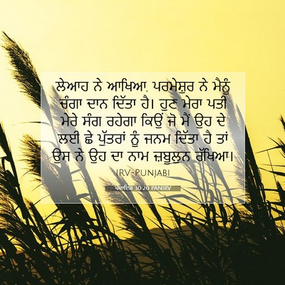 Picture 07 - ਪੈਦਾਇਸ਼ 30:20 PANIRV - ਲੇਆਹ ਨੇ ਆਖਿਆ, - Bible Verse Picture