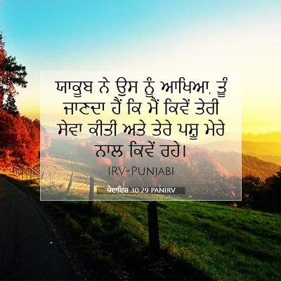 Picture 07 - ਪੈਦਾਇਸ਼ 30:29 PANIRV - ਯਾਕੂਬ ਨੇ ਉਸ ਨੂੰ - Bible Verse Picture