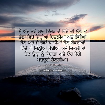 Picture 07 - ਪੈਦਾਇਸ਼ 30:32 PANIRV - ਮੈਂ ਅੱਜ ਤੇਰੇ ਸਾਰੇ - Bible Verse Picture