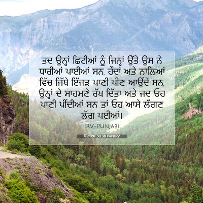 Picture 07 - ਪੈਦਾਇਸ਼ 30:38 PANIRV - ਤਦ ਉਨ੍ਹਾਂ ਛਿਟੀਆਂ - Bible Verse Picture
