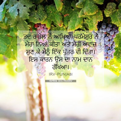 Picture 07 - ਪੈਦਾਇਸ਼ 30:6 PANIRV - ਤਦ ਰਾਖ਼ੇਲ ਨੇ ਆਖਿਆ, - Bible Verse Picture