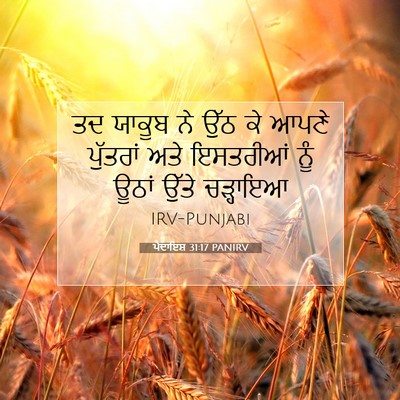 Picture 07 - ਪੈਦਾਇਸ਼ 31:17 PANIRV - ਤਦ ਯਾਕੂਬ ਨੇ ਉੱਠ ਕੇ - Bible Verse Picture
