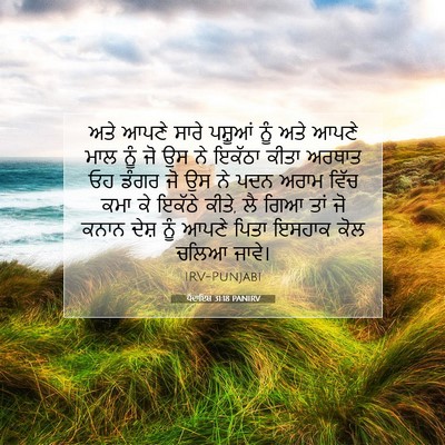 Picture 07 - ਪੈਦਾਇਸ਼ 31:18 PANIRV - ਅਤੇ ਆਪਣੇ ਸਾਰੇ - Bible Verse Picture