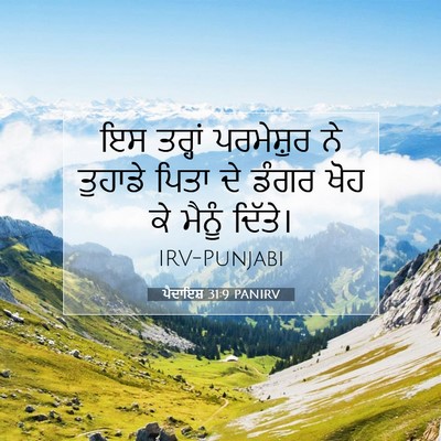 Picture 07 - ਪੈਦਾਇਸ਼ 31:9 PANIRV - ਇਸ ਤਰ੍ਹਾਂ - Bible Verse Picture