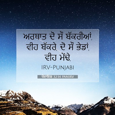 Picture 07 - ਪੈਦਾਇਸ਼ 32:14 PANIRV - ਅਰਥਾਤ ਦੋ ਸੌ - Bible Verse Picture