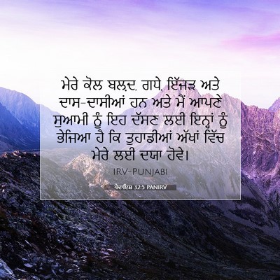 Picture 07 - ਪੈਦਾਇਸ਼ 32:5 PANIRV - ਮੇਰੇ ਕੋਲ ਬਲ਼ਦ, ਗਧੇ, - Bible Verse Picture