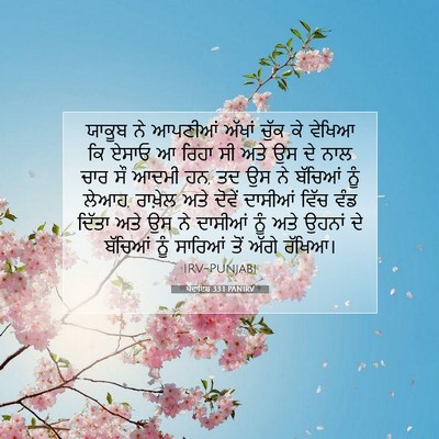 Picture 07 - ਪੈਦਾਇਸ਼ 33:1 PANIRV - ਯਾਕੂਬ ਨੇ ਆਪਣੀਆਂ - Bible Verse Picture