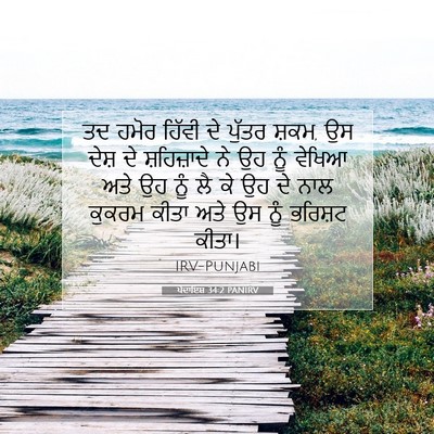 Picture 07 - ਪੈਦਾਇਸ਼ 34:2 PANIRV - ਤਦ ਹਮੋਰ ਹਿੱਵੀ ਦੇ - Bible Verse Picture