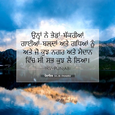 Picture 07 - ਪੈਦਾਇਸ਼ 34:28 PANIRV - ਉਨ੍ਹਾਂ ਨੇ - Bible Verse Picture