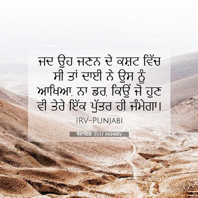 Picture 07 - ਪੈਦਾਇਸ਼ 35:17 PANIRV - ਜਦ ਉਹ ਜਣਨ ਦੇ ਕਸ਼ਟ - Bible Verse Picture