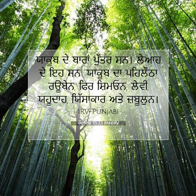 Picture 07 - ਪੈਦਾਇਸ਼ 35:23 PANIRV - ਯਾਕੂਬ ਦੇ ਬਾਰਾਂ - Bible Verse Picture