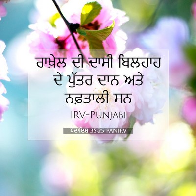 Picture 07 - ਪੈਦਾਇਸ਼ 35:25 PANIRV - ਰਾਖ਼ੇਲ ਦੀ ਦਾਸੀ - Bible Verse Picture