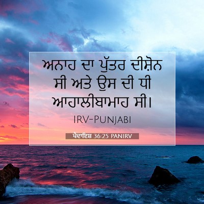 Picture 07 - ਪੈਦਾਇਸ਼ 36:25 PANIRV - ਅਨਾਹ ਦਾ ਪੁੱਤਰ - Bible Verse Picture