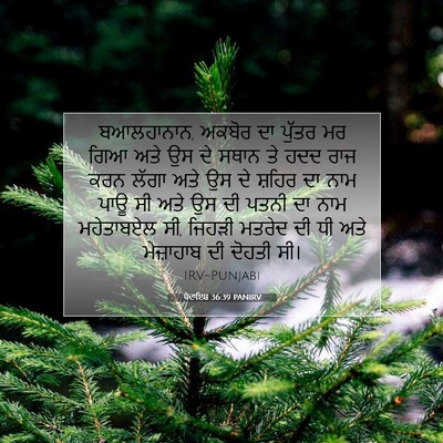 Picture 07 - ਪੈਦਾਇਸ਼ 36:39 PANIRV - ਬਆਲਹਾਨਾਨ, ਅਕਬੋਰ ਦਾ - Bible Verse Picture