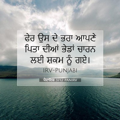 Picture 07 - ਪੈਦਾਇਸ਼ 37:12 PANIRV - ਫੇਰ ਉਸ ਦੇ ਭਰਾ ਆਪਣੇ - Bible Verse Picture