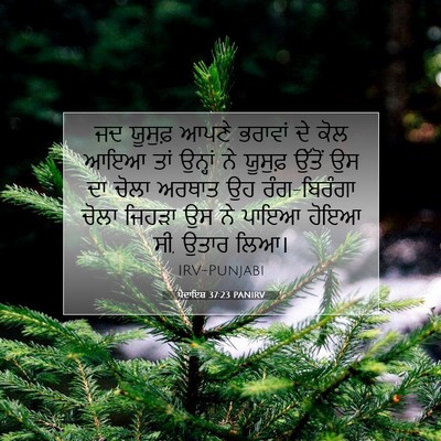Picture 07 - ਪੈਦਾਇਸ਼ 37:23 PANIRV - ਜਦ ਯੂਸੁਫ਼ ਆਪਣੇ - Bible Verse Picture