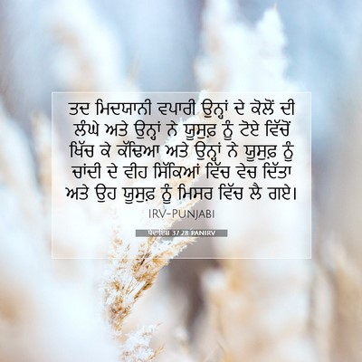 Picture 07 - ਪੈਦਾਇਸ਼ 37:28 PANIRV - ਤਦ ਮਿਦਯਾਨੀ ਵਪਾਰੀ - Bible Verse Picture