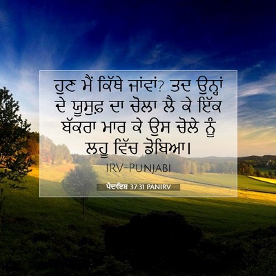 Picture 07 - ਪੈਦਾਇਸ਼ 37:31 PANIRV - ਹੁਣ ਮੈਂ ਕਿੱਥੇ - Bible Verse Picture