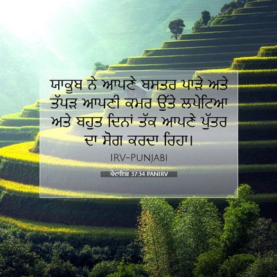 Picture 07 - ਪੈਦਾਇਸ਼ 37:34 PANIRV - ਯਾਕੂਬ ਨੇ ਆਪਣੇ ਬਸਤਰ - Bible Verse Picture
