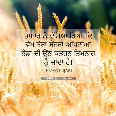 Picture 07 - ਪੈਦਾਇਸ਼ 38:13 PANIRV - ਤਾਮਾਰ ਨੂੰ ਦੱਸਿਆ - Bible Verse Picture