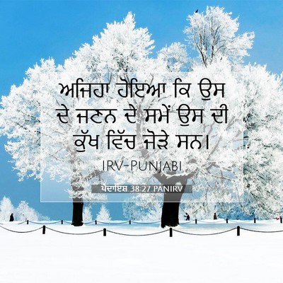 Picture 07 - ਪੈਦਾਇਸ਼ 38:27 PANIRV - ਅਜਿਹਾ ਹੋਇਆ ਕਿ ਉਸ ਦੇ - Bible Verse Picture